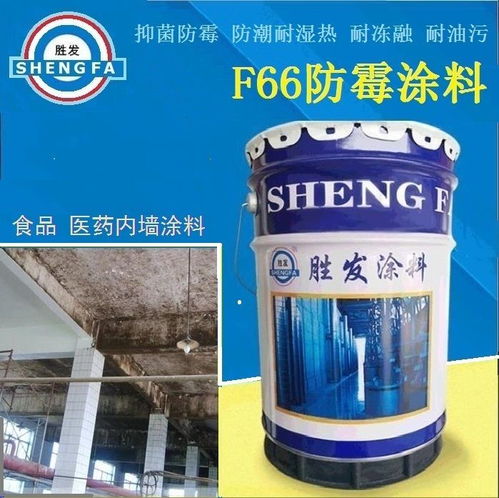 胜发防霉涂料 护航宁夏肉羊屠宰车间的清洁与安全